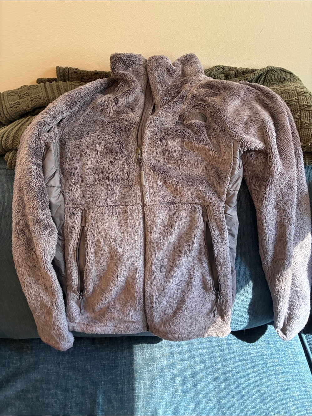 The North Face Women's Plush Zip-Up Fleece Jacket in Gray